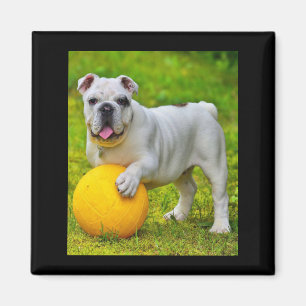 Cute English Bulldog Basketball Bulldog Lover Gift Magnet