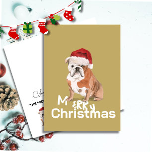 Cute English Bulldog in Santa Hat Merry Christmas 