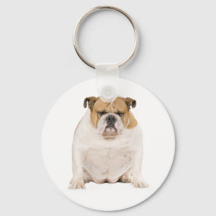 Cute English Bulldog Puppy Dog Keychain
