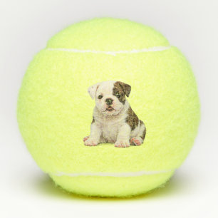 Cute English Bulldog Puppy Tennis Balls