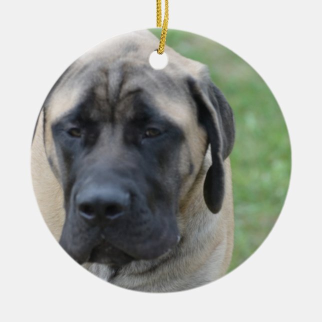 Cute English Mastiff Ceramic Tree Decoration (Front)