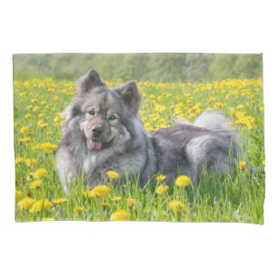 Cute Eurasier Dog in a Meadow Flowering Dandelions Pillowcase