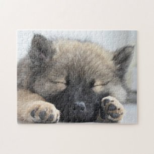 Cute Eurasier Puppy Jigsaw Puzzle