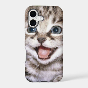 Cute Excited Kitten IPhone Case