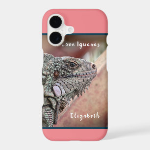 Cute Exotic Reptile Iguana Pet Animal