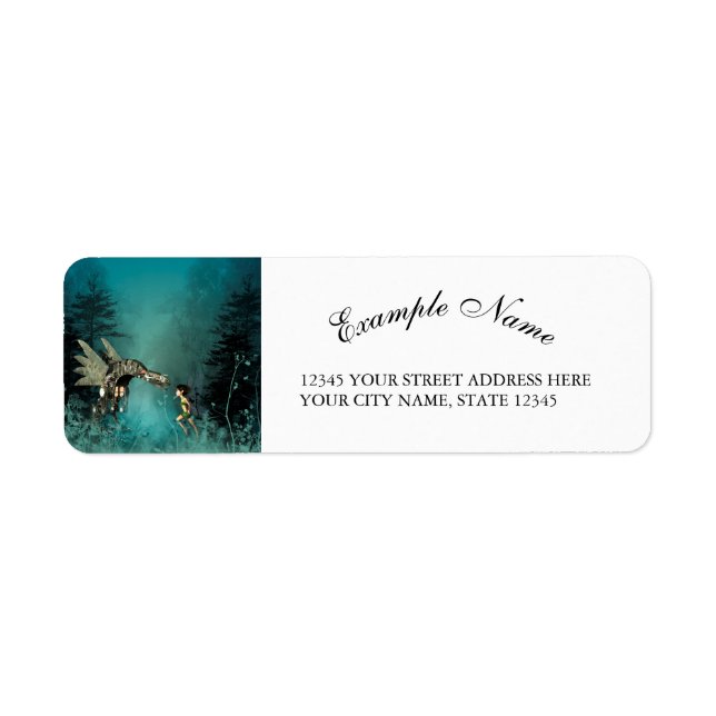 Cute fairy with steam dragon in a fantasy forest (Front)