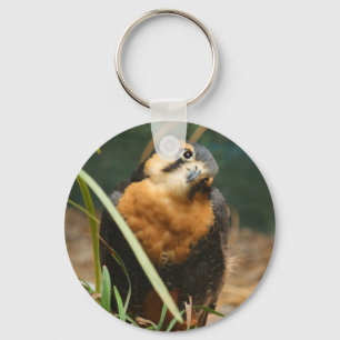 Cute falcon keychain