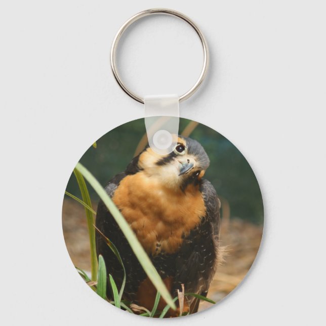 Cute falcon keychain (Front)