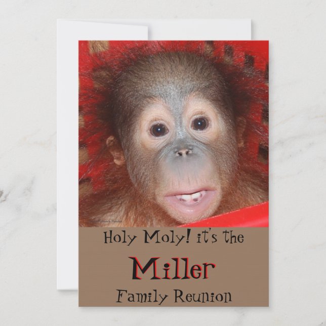 Cute Family Reunion Invitation (Front)