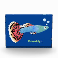 Cute fancy guppy tropical fish cartoon