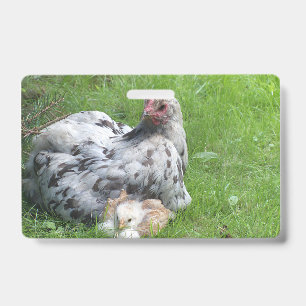 cute, farm, animals, kids, farm animals, pet, ID badge