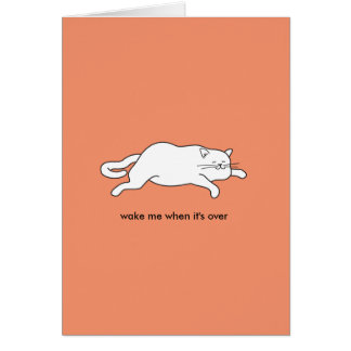 cute fat cat on a card