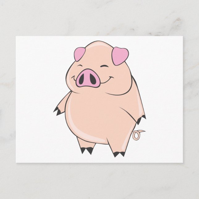 Cute Fat Pig Postcard (Front)
