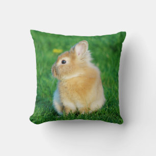 Cute Fawn Bunny Sitting in Grass Cushion