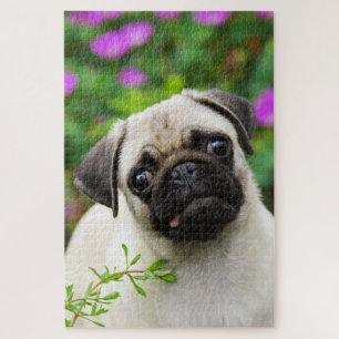 Cute Fawn Colored Pug Puppy Dog Portrait Photo Jigsaw Puzzle