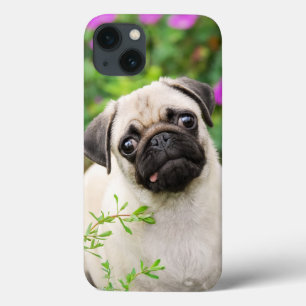 Cute Fawn Coloured Pug Puppy Dog Face Pet Photo - iPhone 13 Case