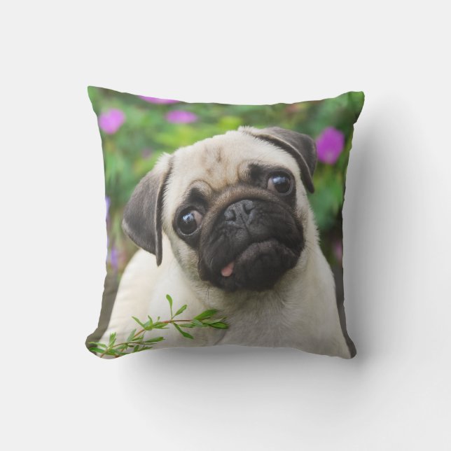 Cute Fawn Coloured Pug Puppy Dog Face Pet Photo - Cushion (Front)