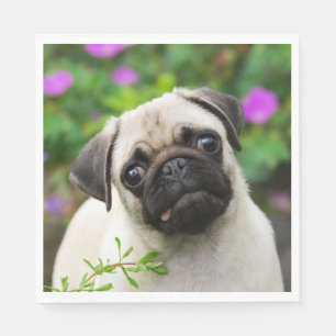 Cute Fawn Coloured Pug Puppy Dog Face Pet Photo on Napkin