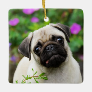 Cute Fawn Coloured Pug Puppy Dog Photo - porcelain Ceramic Tree Decoration