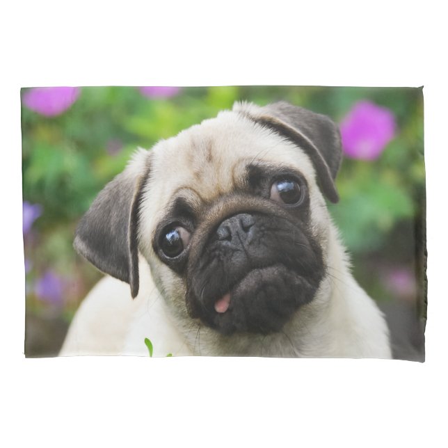 Cute Fawn Coloured Pug Puppy Dog - Pillow-Cover Pillowcase (Front)
