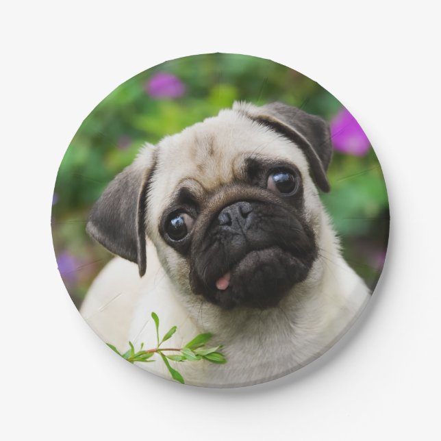 Cute Fawn Pug Puppy Dog Portrait, Happy Party Paper Plate (Front)