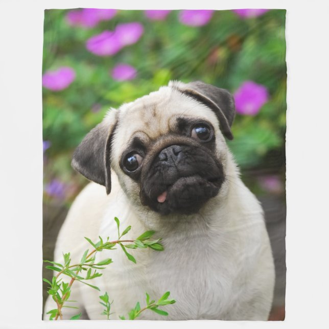 Cute fawn pug puppy, soft fleece blanket (Front)