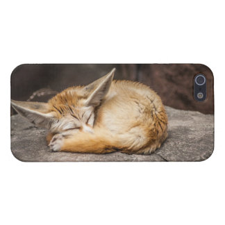 Cute Fennec Fox iPhone 5 Cover