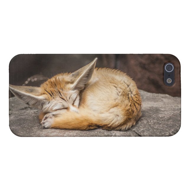 Cute Fennec Fox iPhone Case (Back Horizontal)