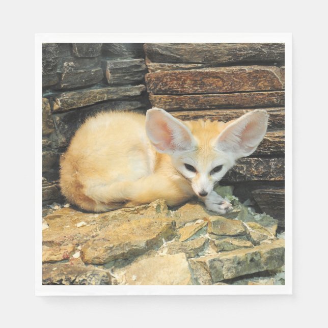 Cute fennec fox napkin (Front)
