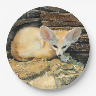 Cute fennec fox paper plate