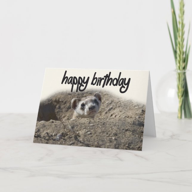 cute Ferret Happy Birthday Card (Front)