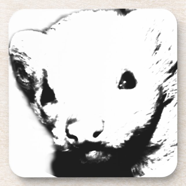 Cute Ferret Picture Coaster (Front)