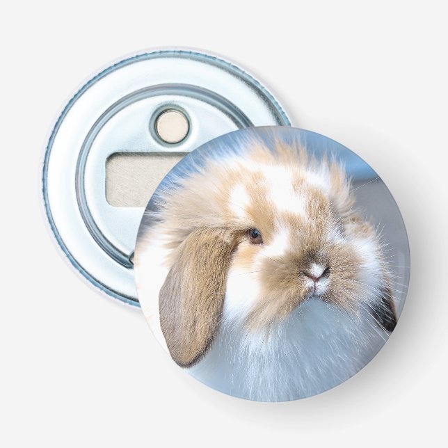 Cute Flemish white and brown rabbit     Bottle Opener (Front)
