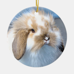 Cute Flemish white and brown rabbit     Ceramic Tree Decoration