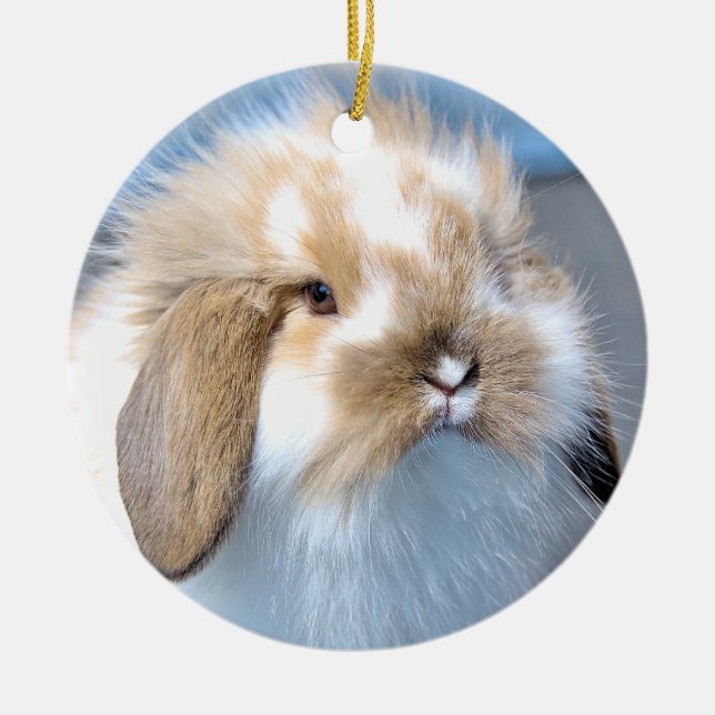 Cute Flemish white and brown rabbit     Ceramic Tree Decoration (Front)