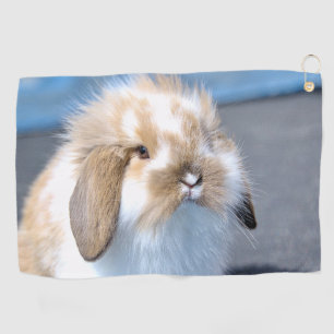 Cute Flemish white and brown rabbit Golf Towel