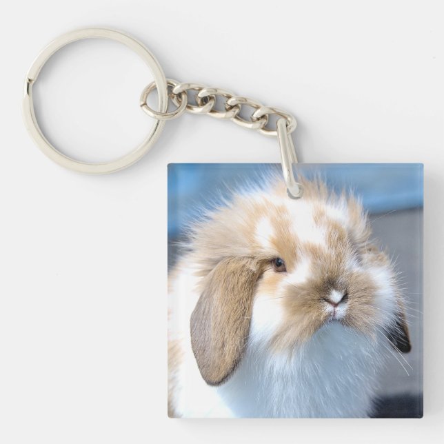 Cute Flemish white and brown rabbit     Key Ring (Front)