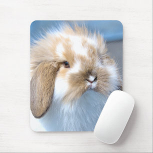 Cute Flemish white and brown rabbit   Mouse Pad