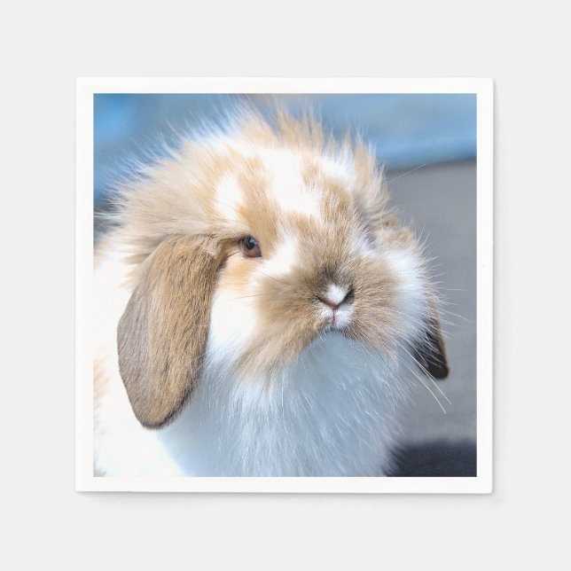 Cute Flemish white and brown rabbit     Napkin (Front)