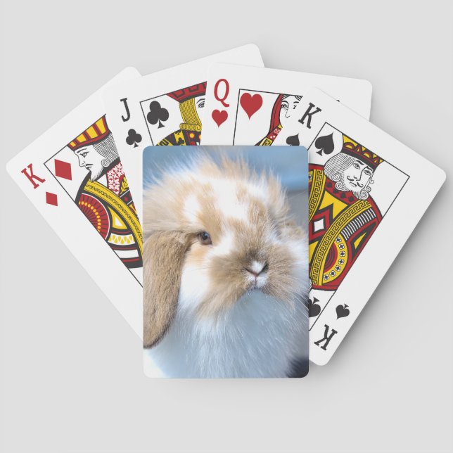 Cute Flemish white and brown rabbit    Playing Cards (Back)