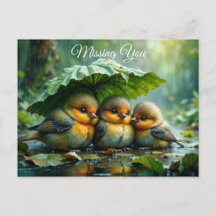 Cute fluffy birds in rain *Missing You* Postcard