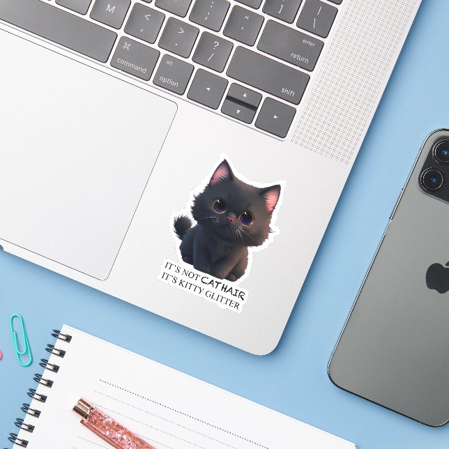 Cute fluffy black cat (Laptop w/ iPhone)