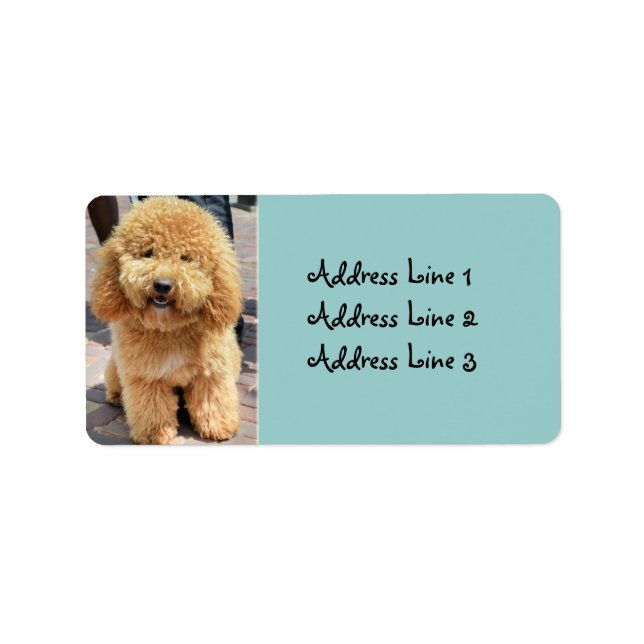 Cute Fluffy Brown Dog Photo Address Label (Front)