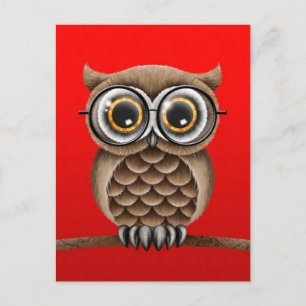 Cute Fluffy Brown Owl with Reading Glasses, Red Postcard