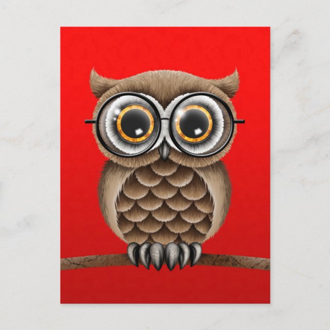 Cute Fluffy Brown Owl with Reading Glasses, Red Postcard (Front)