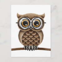 Cute Fluffy Brown Owl with Reading Glasses, White