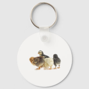 cute fluffy chicks key ring