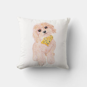 Cute fluffy dog. cushion