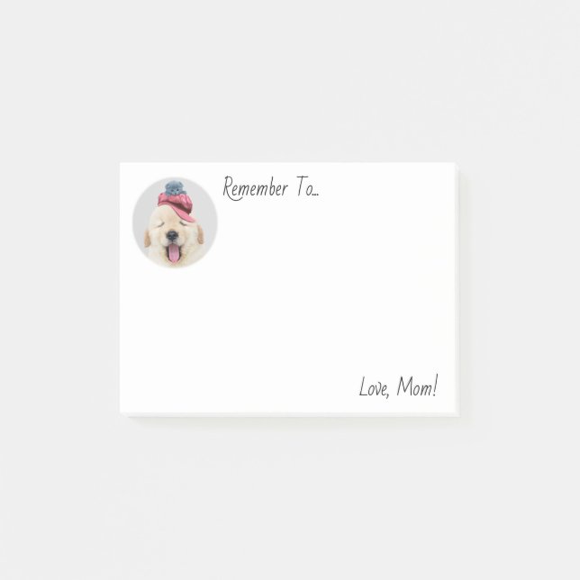 Cute Fluffy Dog with a Cat on His Head Personalise Post-it Notes (Front)