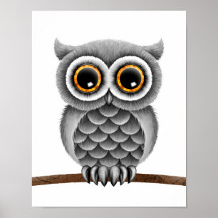 Cute Fluffy Grey Owl on a Branch, White Background Poster